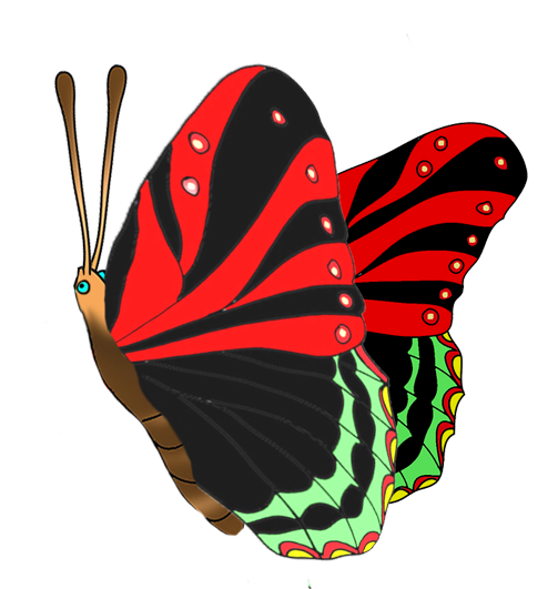 Colorful Butterflies Clipart · Black Red Butterfly Image - Red And Black Butterfly, Transparent background PNG HD thumbnail