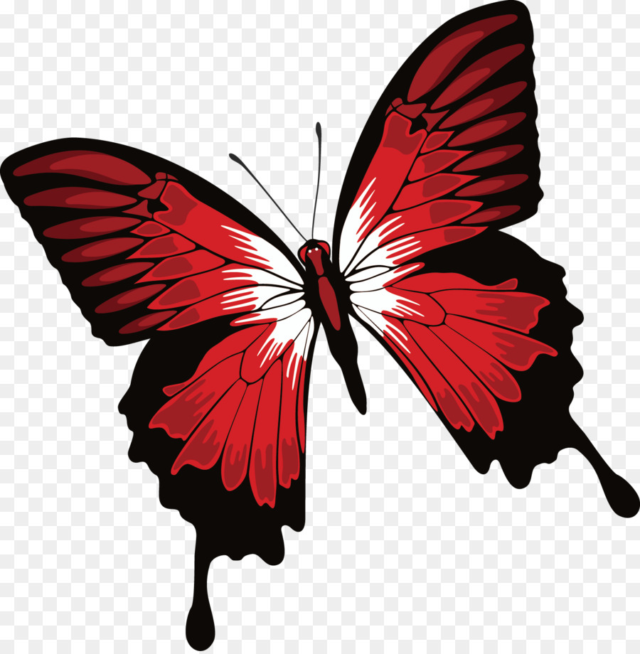 Monarch Butterfly Health   Butterfly Decorative Design - Red And Black Butterfly, Transparent background PNG HD thumbnail