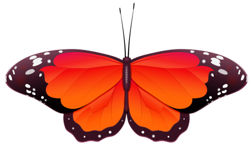 tropical butterfly image, red