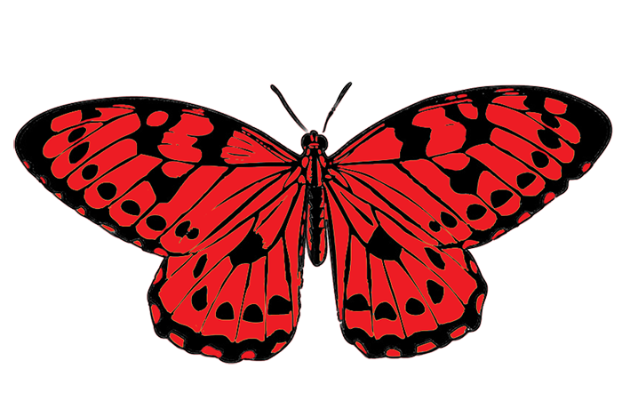 Tropical Butterfly Image, Red And Black Butterfly Clipart - Red And Black Butterfly, Transparent background PNG HD thumbnail