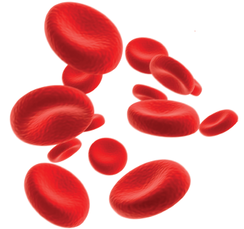 A Red Blood Cell That Contains Hemoglobin And Can Transport Oxygen And Co2 - Red Blood Cell, Transparent background PNG HD thumbnail