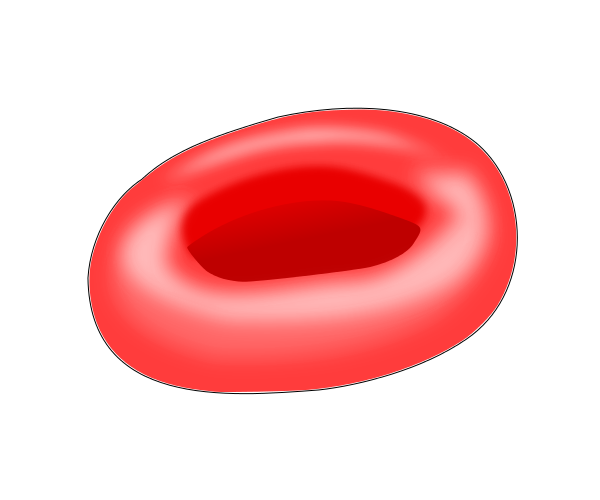 Red Blood Cell Png - File:red Blood Cell Illust.svg, Transparent background PNG HD thumbnail