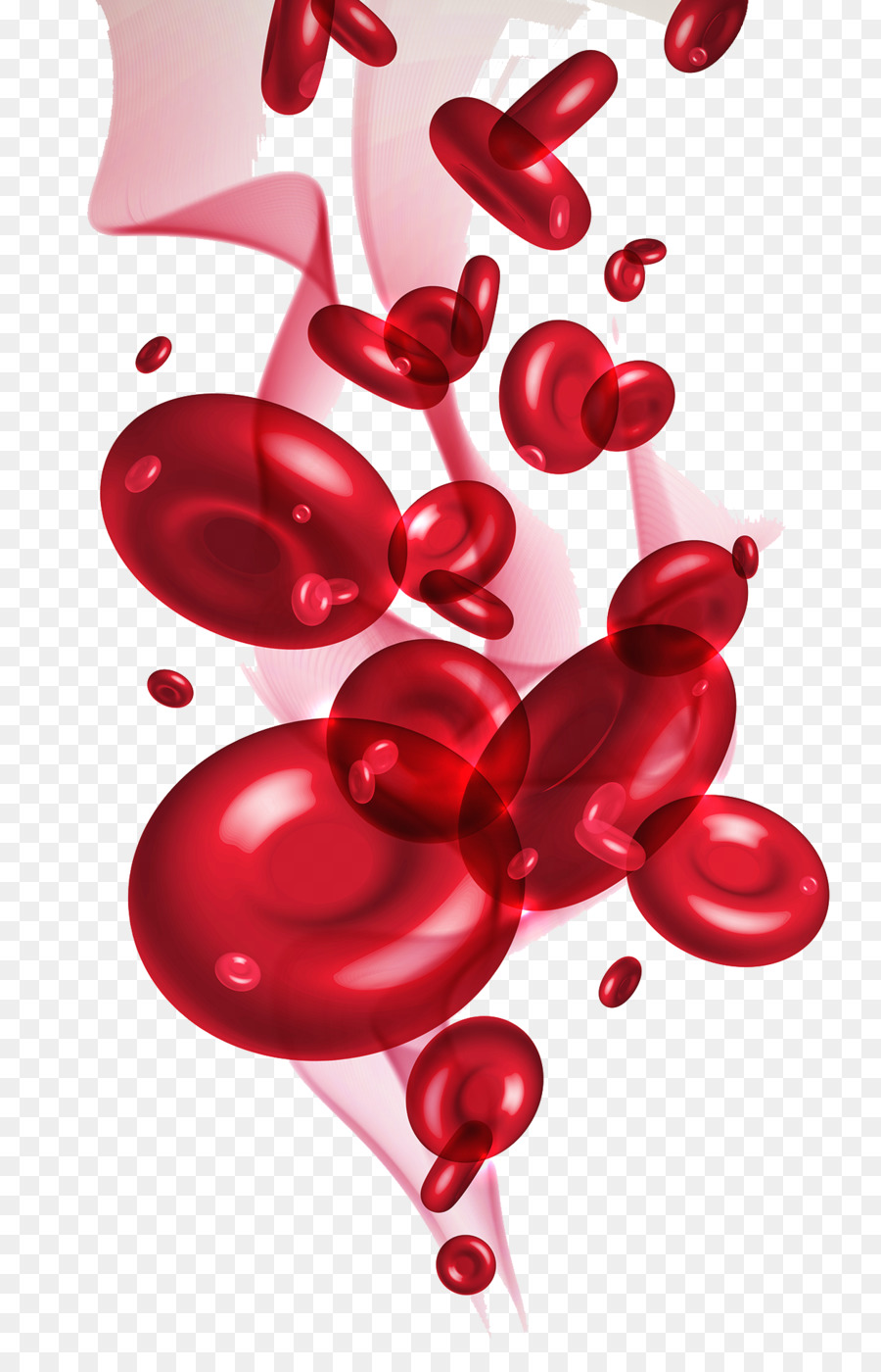 Red Blood Cell   Cell - Red Blood Cell, Transparent background PNG HD thumbnail
