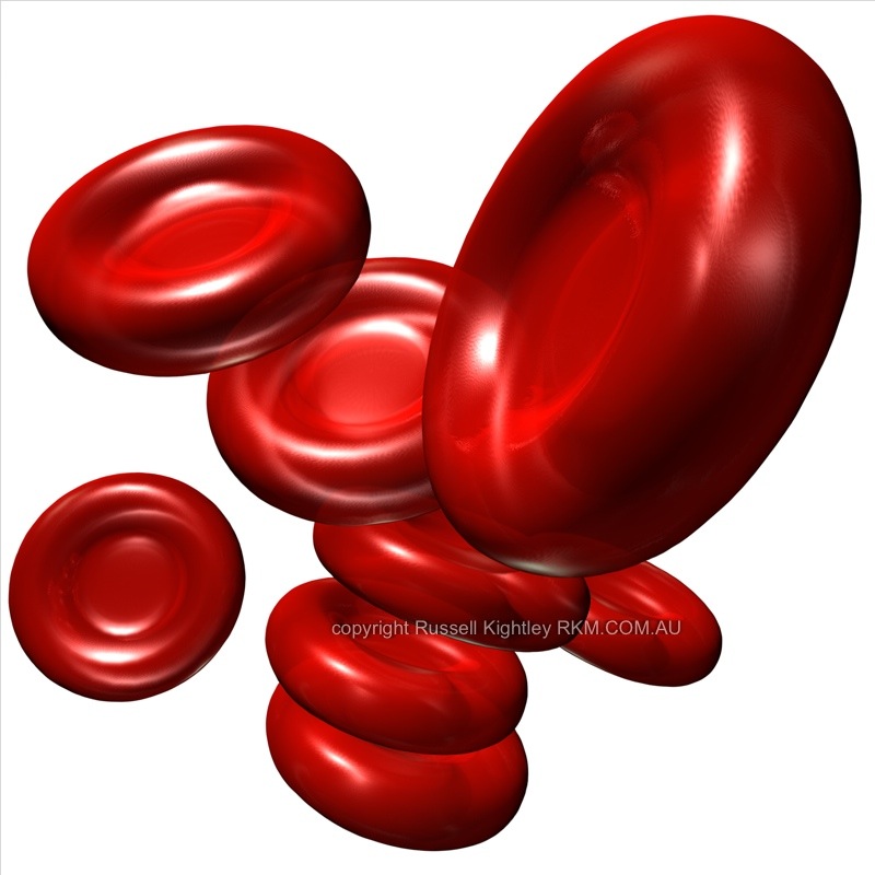 Red Blood Cell Picture; This Image Is 500 Pixels Across The Original Is 4096 X 4096 Pixels. - Red Blood Cell, Transparent background PNG HD thumbnail