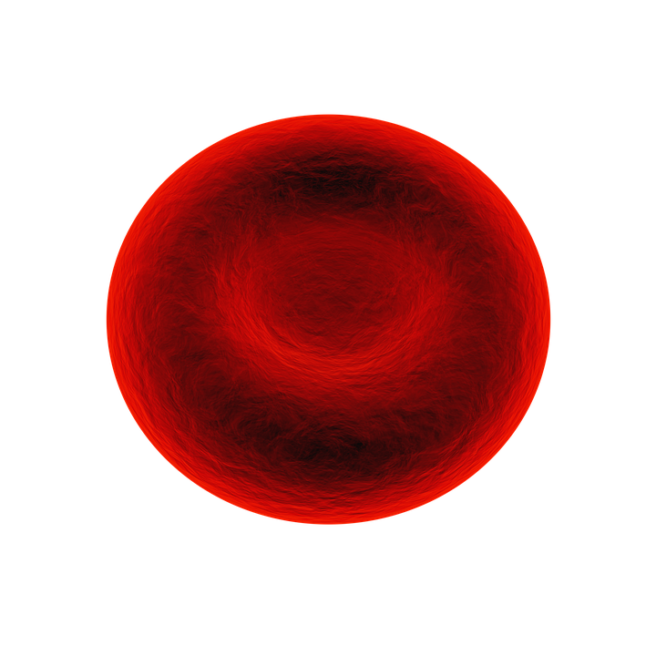 Red Blood Cell Rbc Erythrocyte Blood Red Cell - Red Blood Cell, Transparent background PNG HD thumbnail