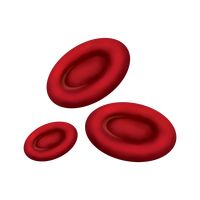 Red Blood Cells - Red Blood Cell, Transparent background PNG HD thumbnail