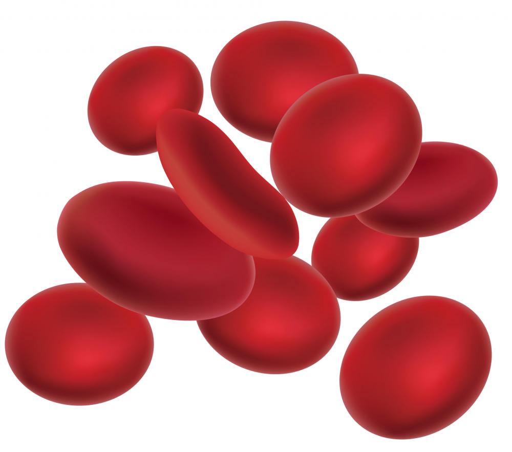 Red Blood Cells On White.jpg - Red Blood Cell, Transparent background PNG HD thumbnail