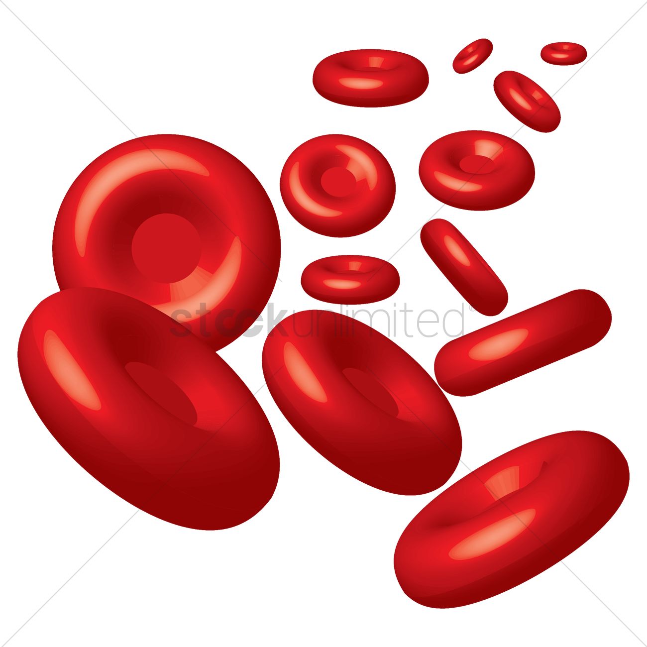 Red Blood Cells Vector Graphic - Red Blood Cell, Transparent background PNG HD thumbnail