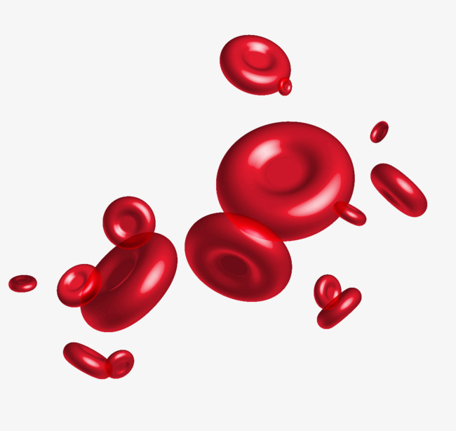 red blood cells vector graphi