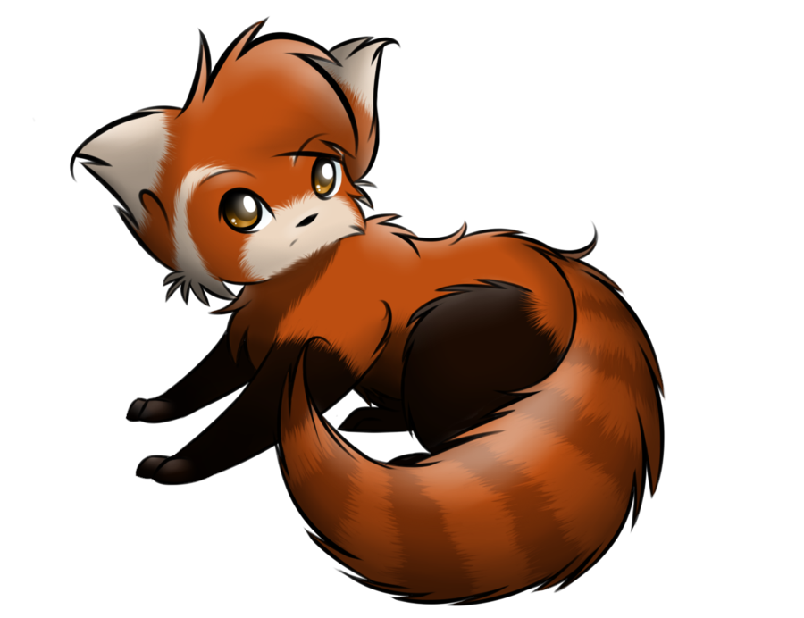 Red Panda Drawing - Red Panda, Transparent background PNG HD thumbnail