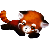 Red Panda Png Clipart Png Image - Red Panda, Transparent background PNG HD thumbnail