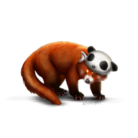 Red Panda Png - Red Panda Png Picture Png Image, Transparent background PNG HD thumbnail