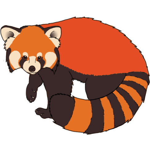 Red Panda/tanuki/raccoon. Theyu0027Re All Similar Animals What With Having Masks And Ringed Tails So Here You Are. Red Panda Fire Q4E5Mej.png - Red Panda, Transparent background PNG HD thumbnail