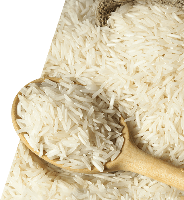HD close-up image of rice, Ri