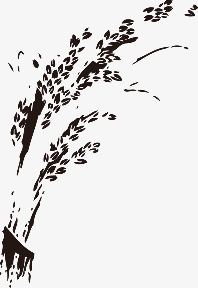 Hand Painted Rice, Rice, Paddy, Rice Png And Vector - Rice Paddy Black And White, Transparent background PNG HD thumbnail