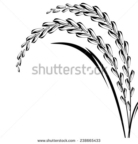 Rice Paddy Clipart Black And White - Rice Paddy Black And White, Transparent background PNG HD thumbnail