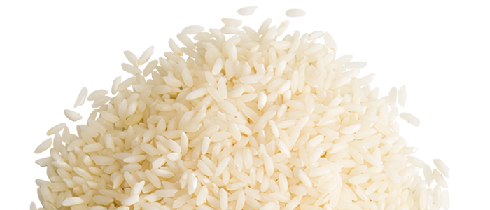 Rice PNG Picture