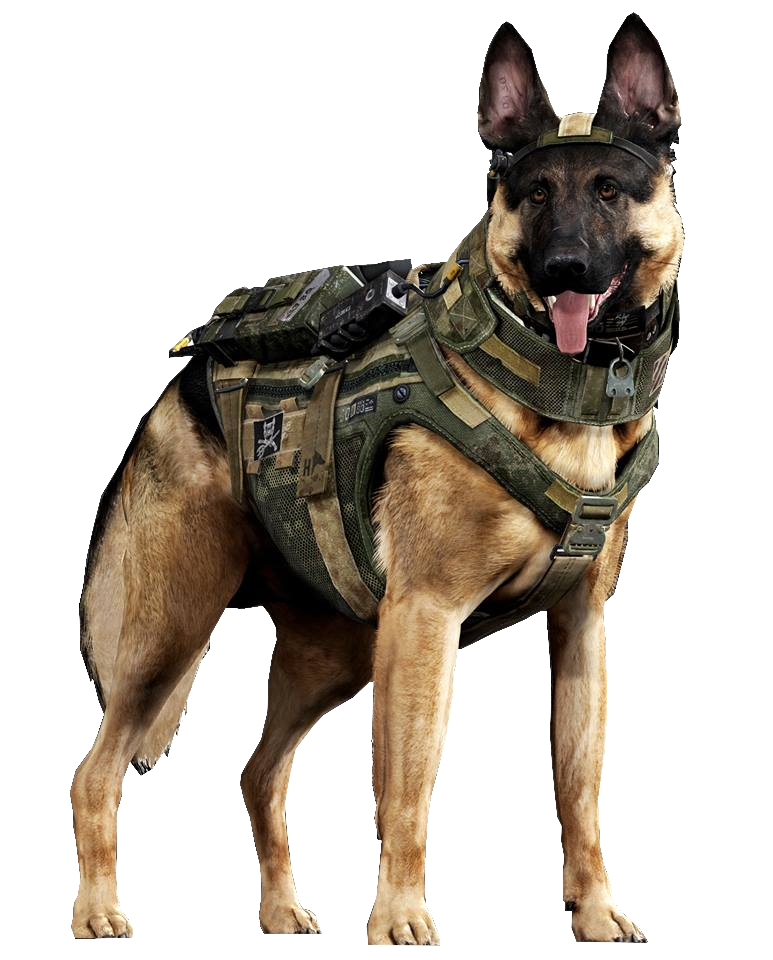 Image   Riley Render Codg.png | Call Of Duty Wiki | Fandom Powered By Wikia - Riley, Transparent background PNG HD thumbnail