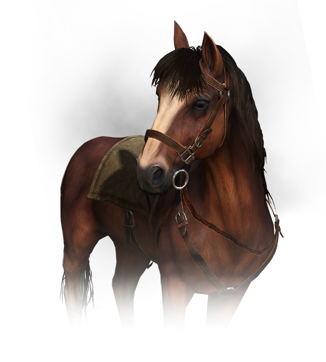 Mare - Roach, Transparent background PNG HD thumbnail