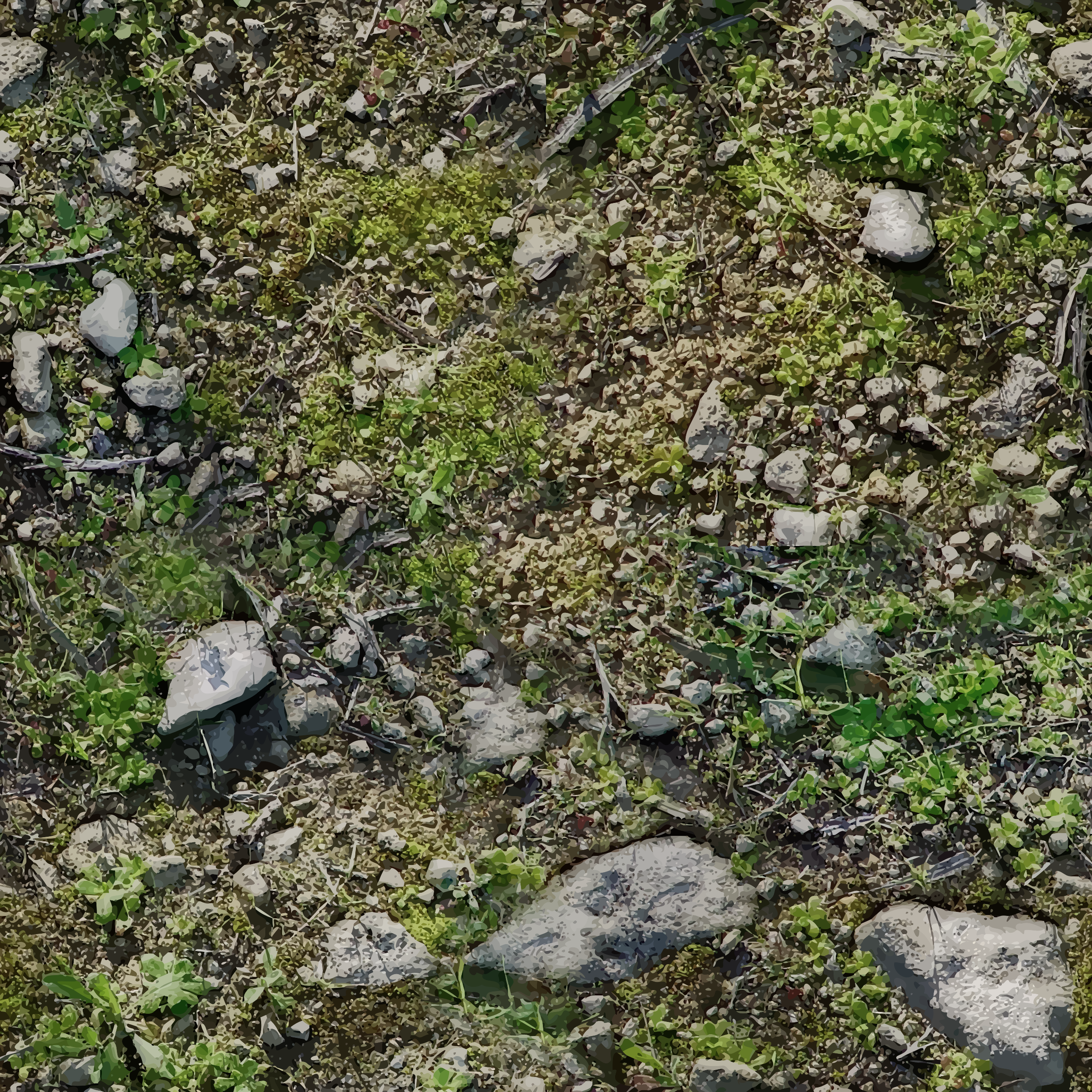 Big Image (Png) - Rocky Soil, Transparent background PNG HD thumbnail