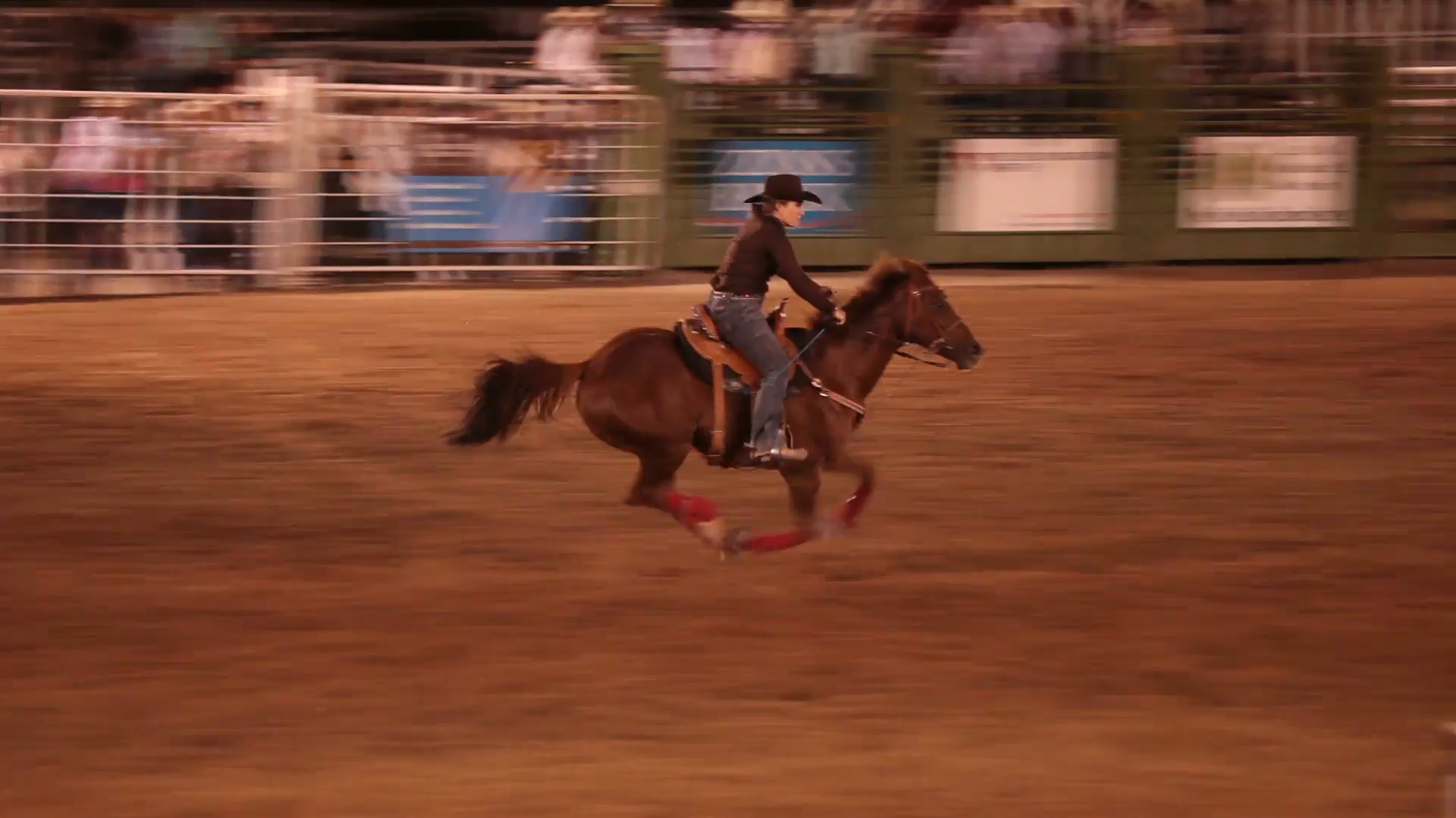 Rodeo saddle bronco horse rid