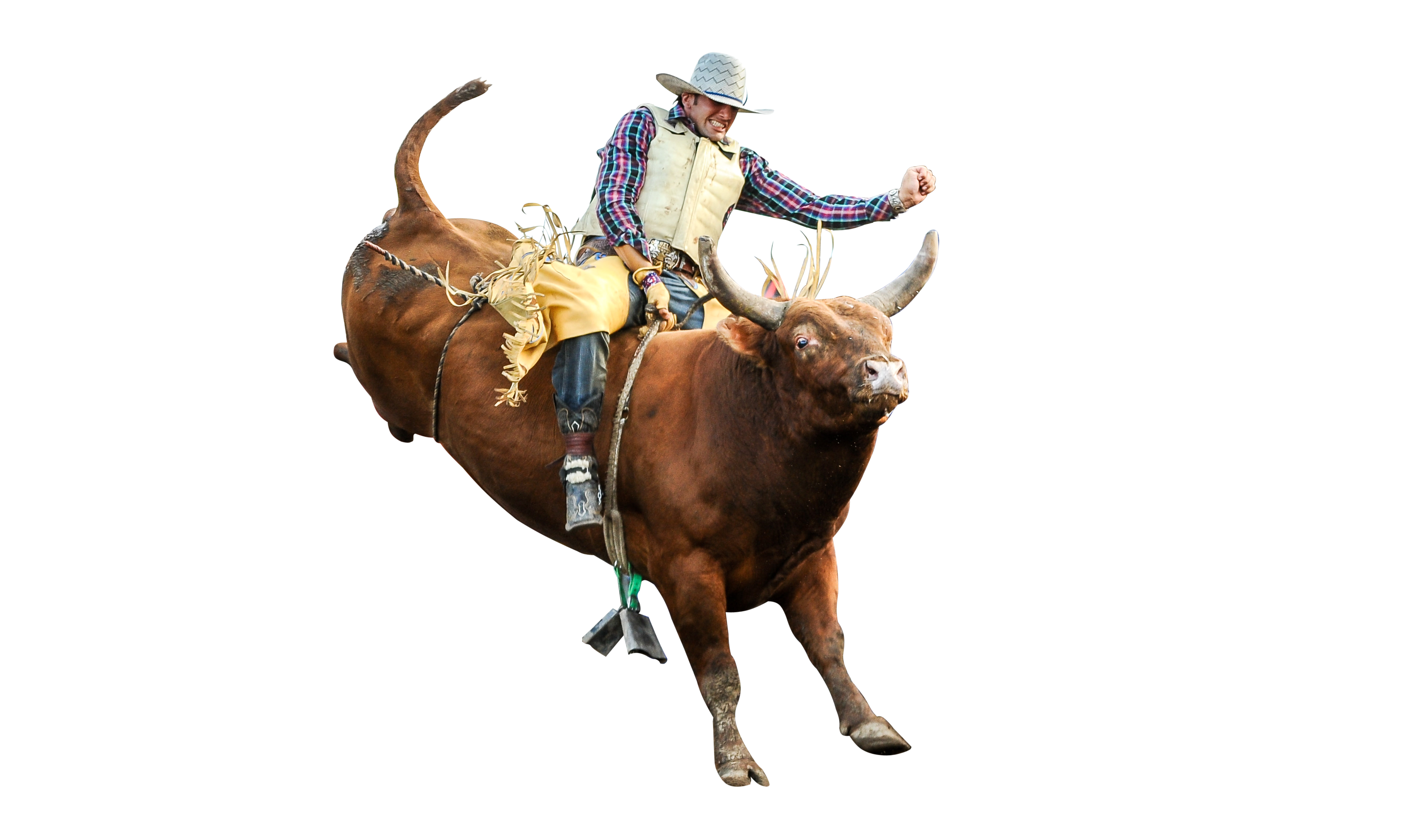 Bullriding Hd Background - Rodeo, Transparent background PNG HD thumbnail