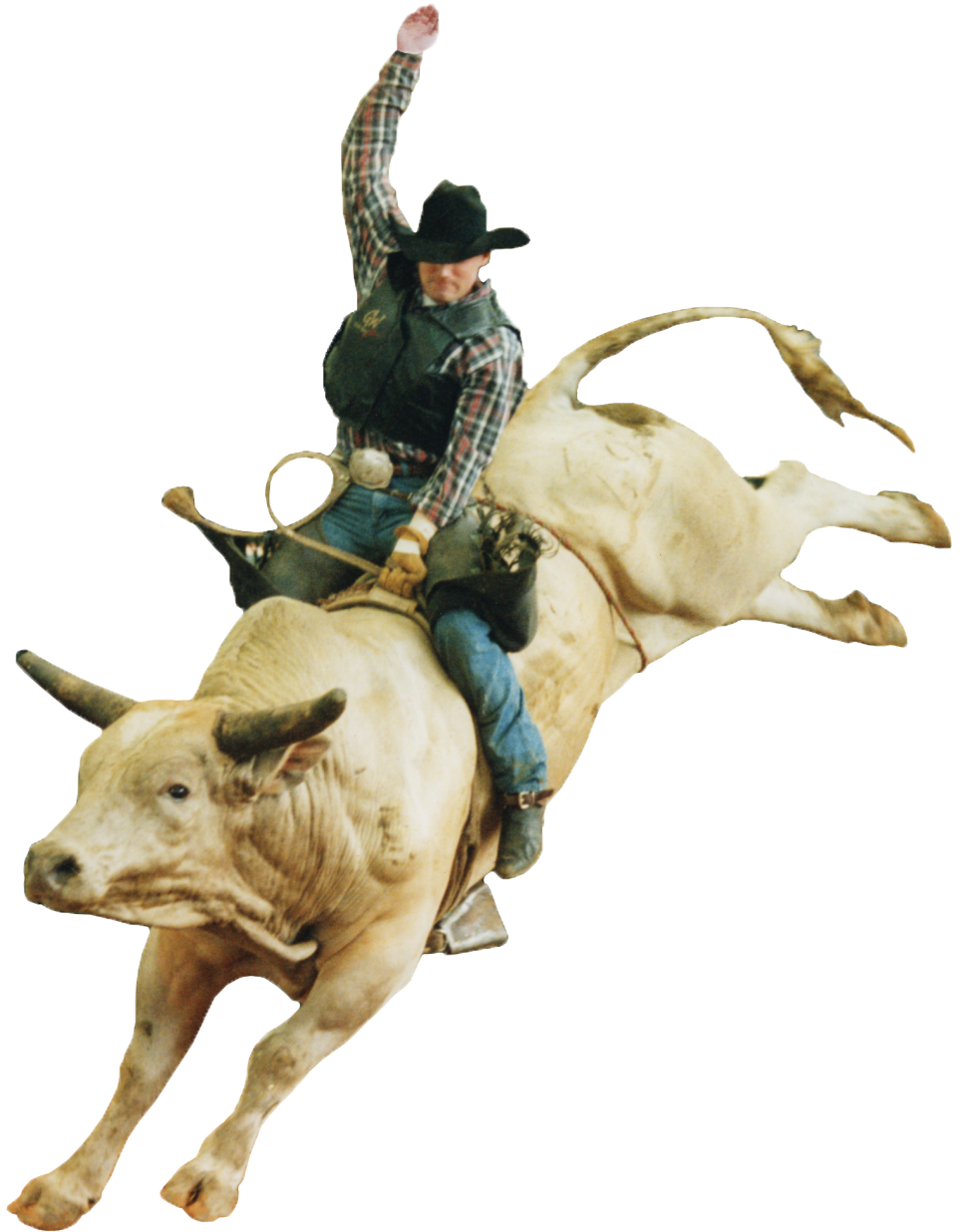 Rodeo bull rider attacked slo