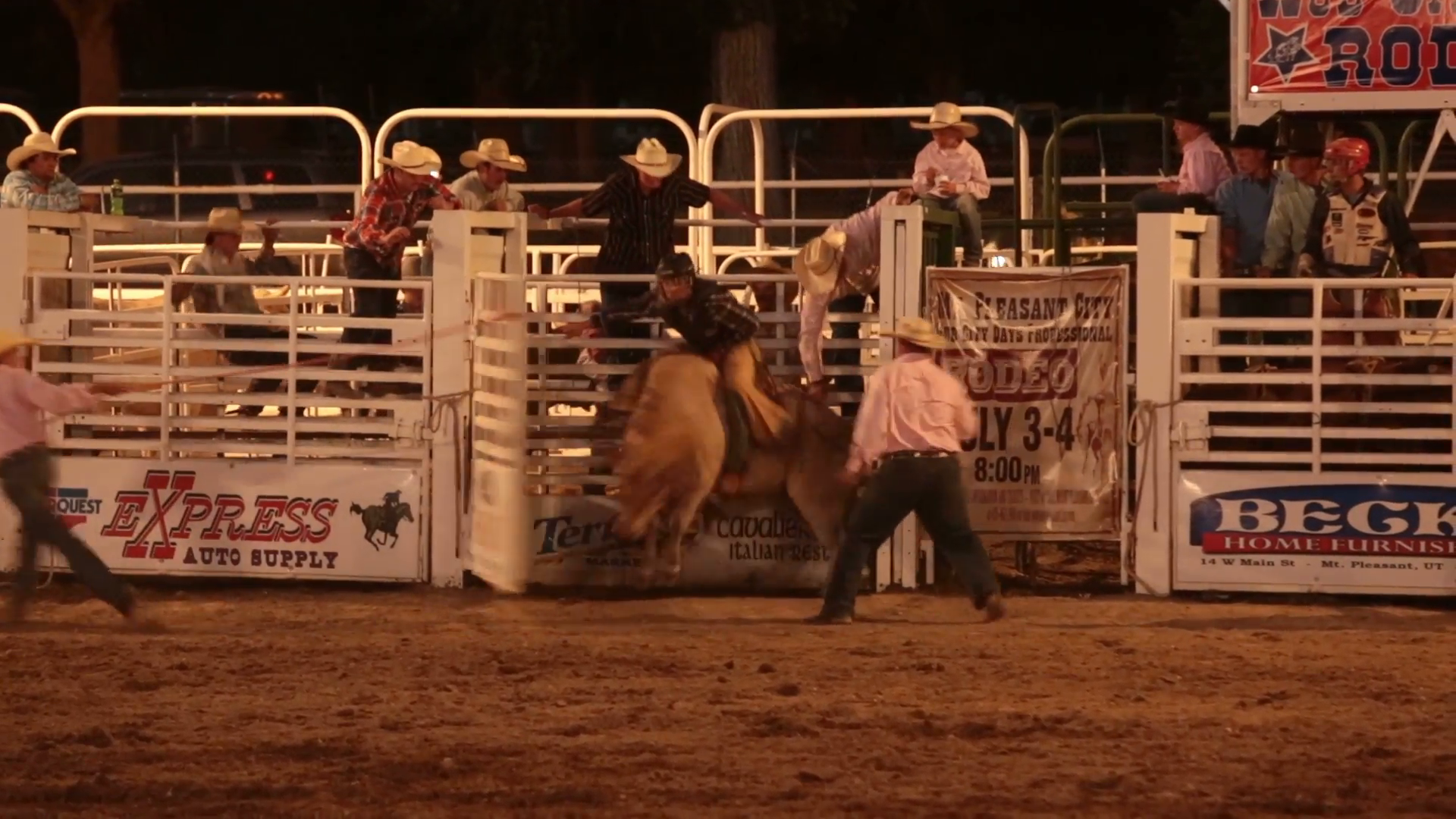 Rodeo saddle bronco horse rid