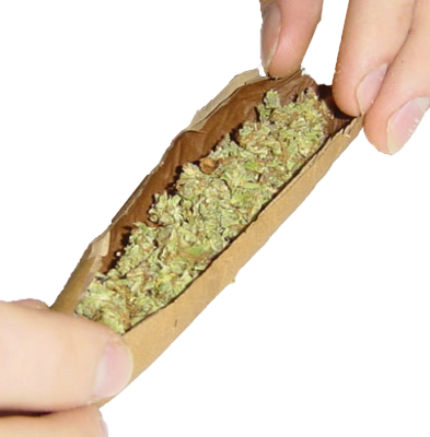Dems Roll Blunt As Senate Republicans Cast - Rolled Joint, Transparent background PNG HD thumbnail