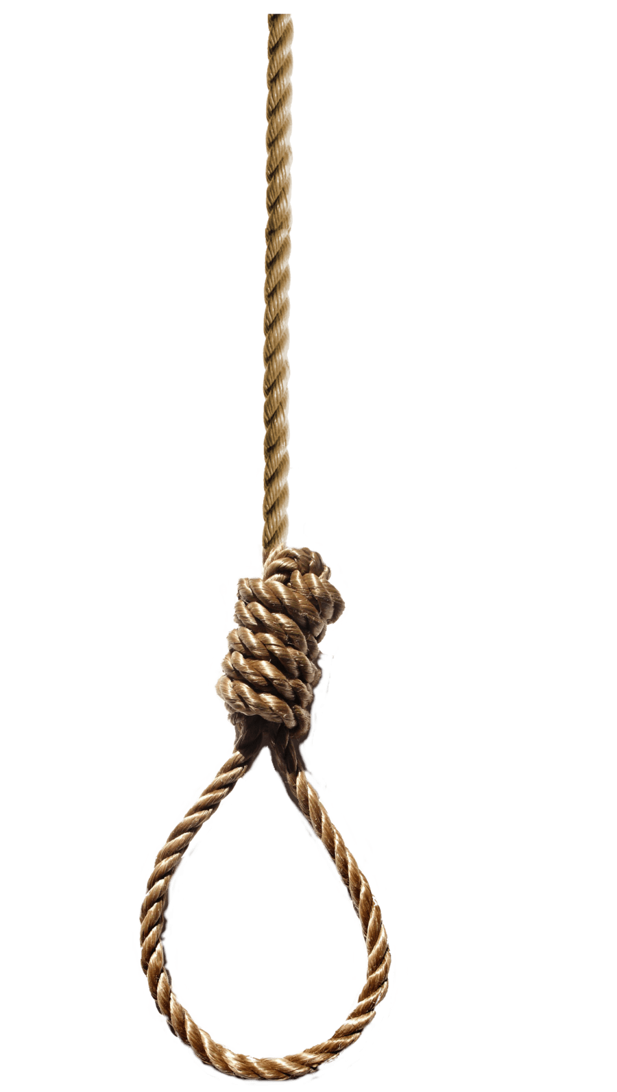 Hanging Rope - Rope, Transparent background PNG HD thumbnail