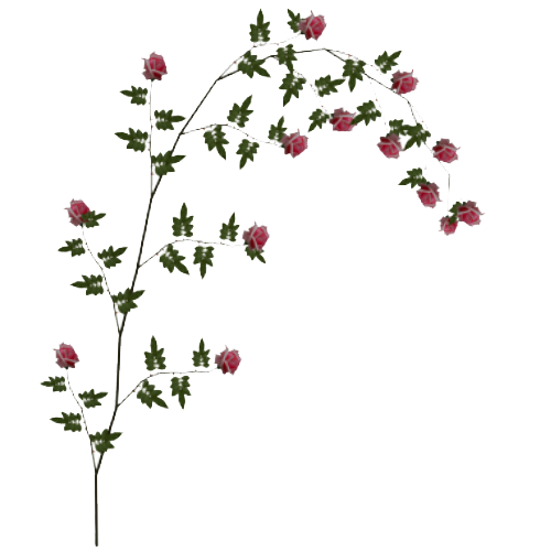 Flowers,rose Transparent Png Sticker. Flowers Hdpng.com  - Rose Vine, Transparent background PNG HD thumbnail