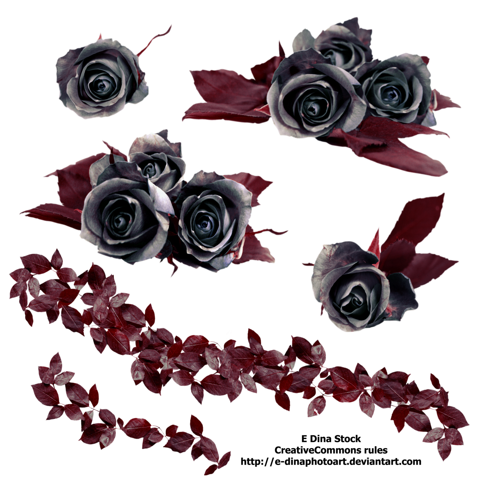 Gothic Rose Png Free Download - Rose Vine, Transparent background PNG HD thumbnail