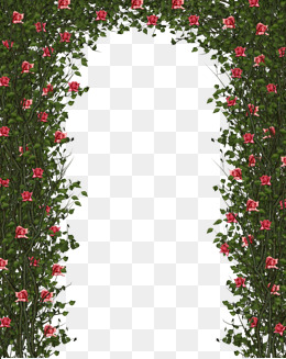 Pink Roses Vine Door, Pink Roses, Vine, Plants Are Png Image And Clipart - Rose Vine, Transparent background PNG HD thumbnail