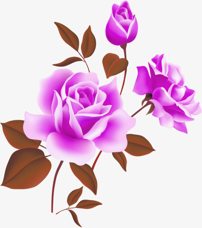 Red Roses Flower Hd Material, Hd Flower, Hd Flowers, Flowers Picture Material Png - Rose Vine, Transparent background PNG HD thumbnail