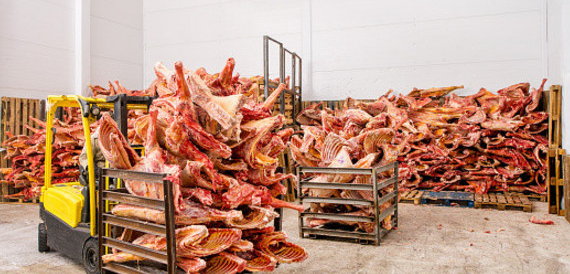 . Hdpng.com After Police Launched A Massive Raid On The Countryu0027S Meat Processors, Some Of Whom Stand Accused Of Corruption And The Distribution Of Rotten Meat . - Rotten Meat, Transparent background PNG HD thumbnail
