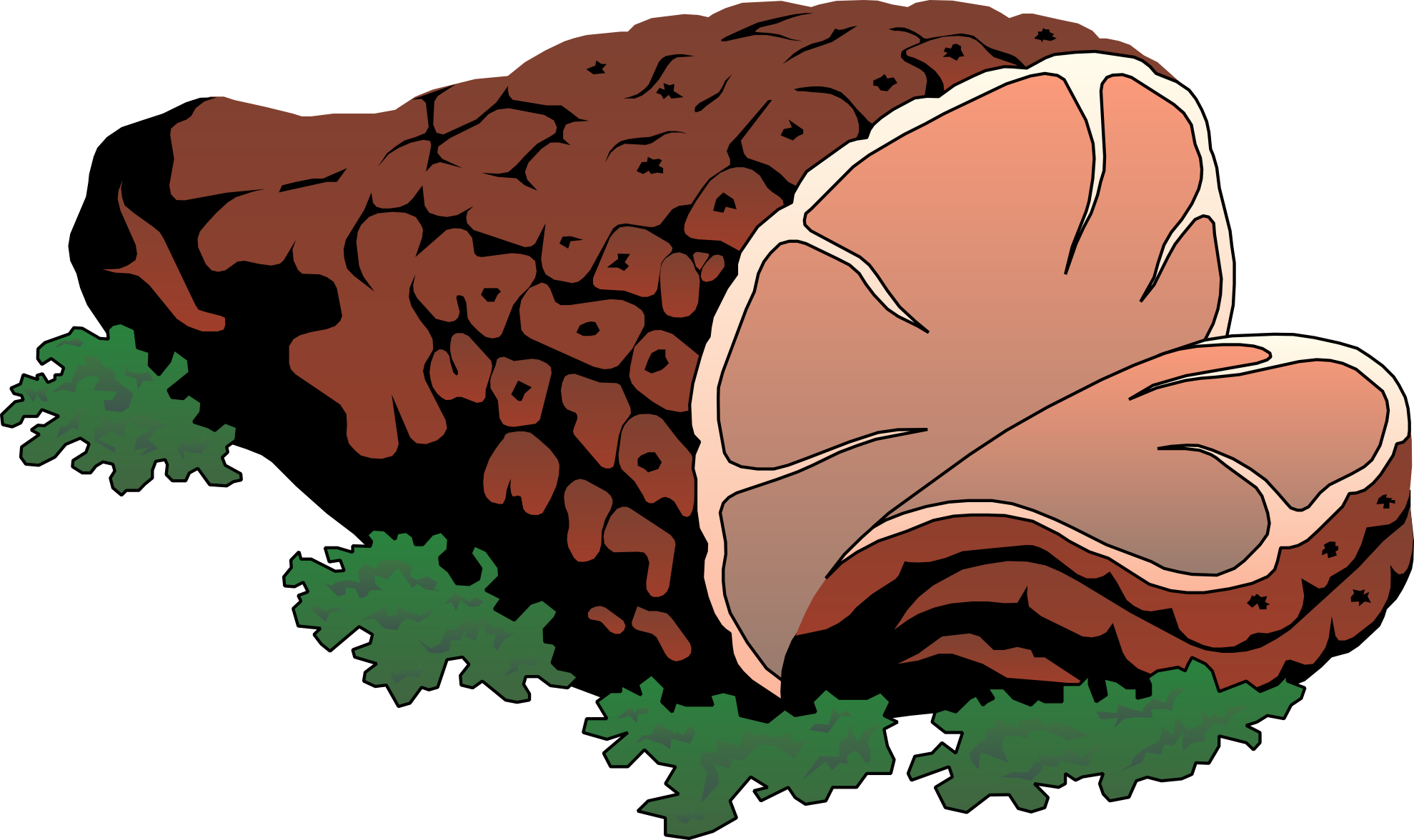 Clipart Meat - Rotten Meat, Transparent background PNG HD thumbnail