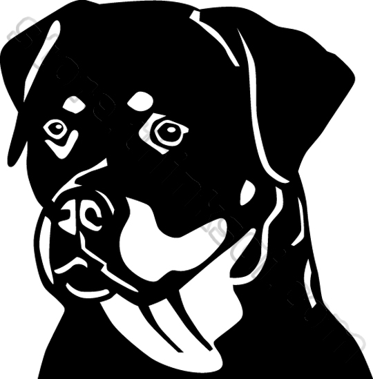 Rottweiler Clip Art Black And White - Rottweiler Black And White, Transparent background PNG HD thumbnail