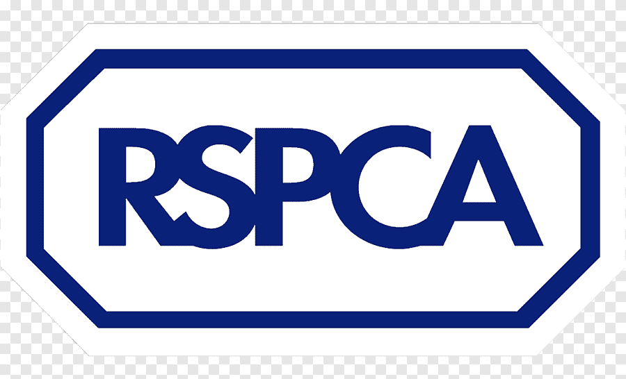 Pig Royal Society For The Prevention Of Cruelty To Animals Farm Pluspng.com  - Rspca, Transparent background PNG HD thumbnail