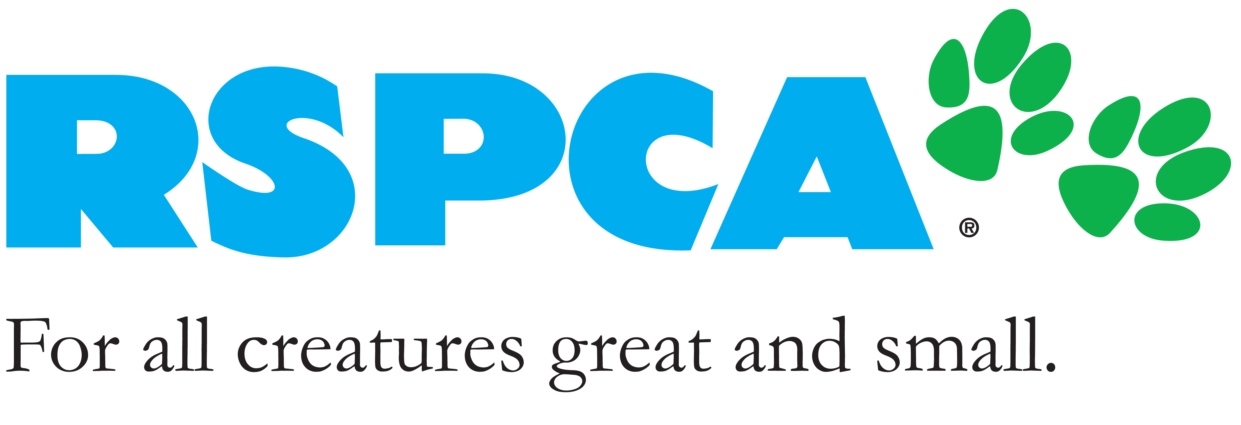 Rspca   Fire Detection For All Creatures Great And Small   Torvac Pluspng.com  - Rspca, Transparent background PNG HD thumbnail