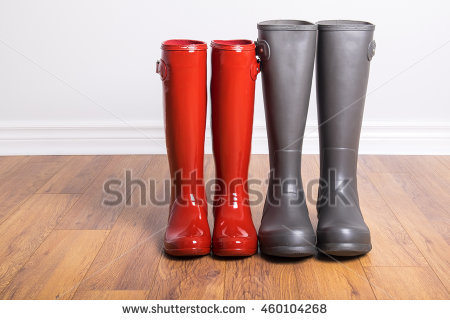 Womenu0027S And Menu0027S Rubber Boots - Rubber Boots, Transparent background PNG HD thumbnail