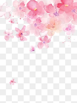 Cherry Blossoms, Cherry Blossoms, Watercolor, Pink Png And Vector - Sakura Flower, Transparent background PNG HD thumbnail