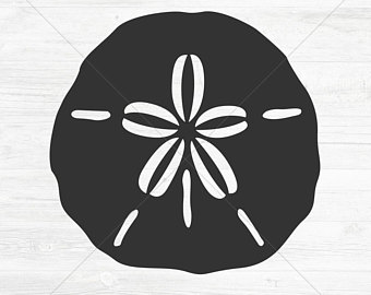Sand Dollar Cut File, Svg, Dxf, Png, Jpg, Eps, Instant - Sand Dollar Black And White, Transparent background PNG HD thumbnail