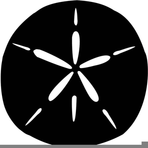 Sand Dollar Silhouette Image - Sand Dollar Black And White, Transparent background PNG HD thumbnail