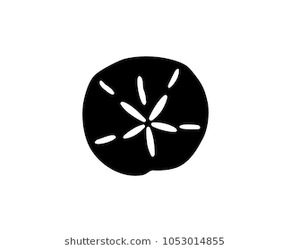 Simple Black Silhouette Of A Sand Dollar, Vector Illustration. - Sand Dollar, Transparent background PNG HD thumbnail