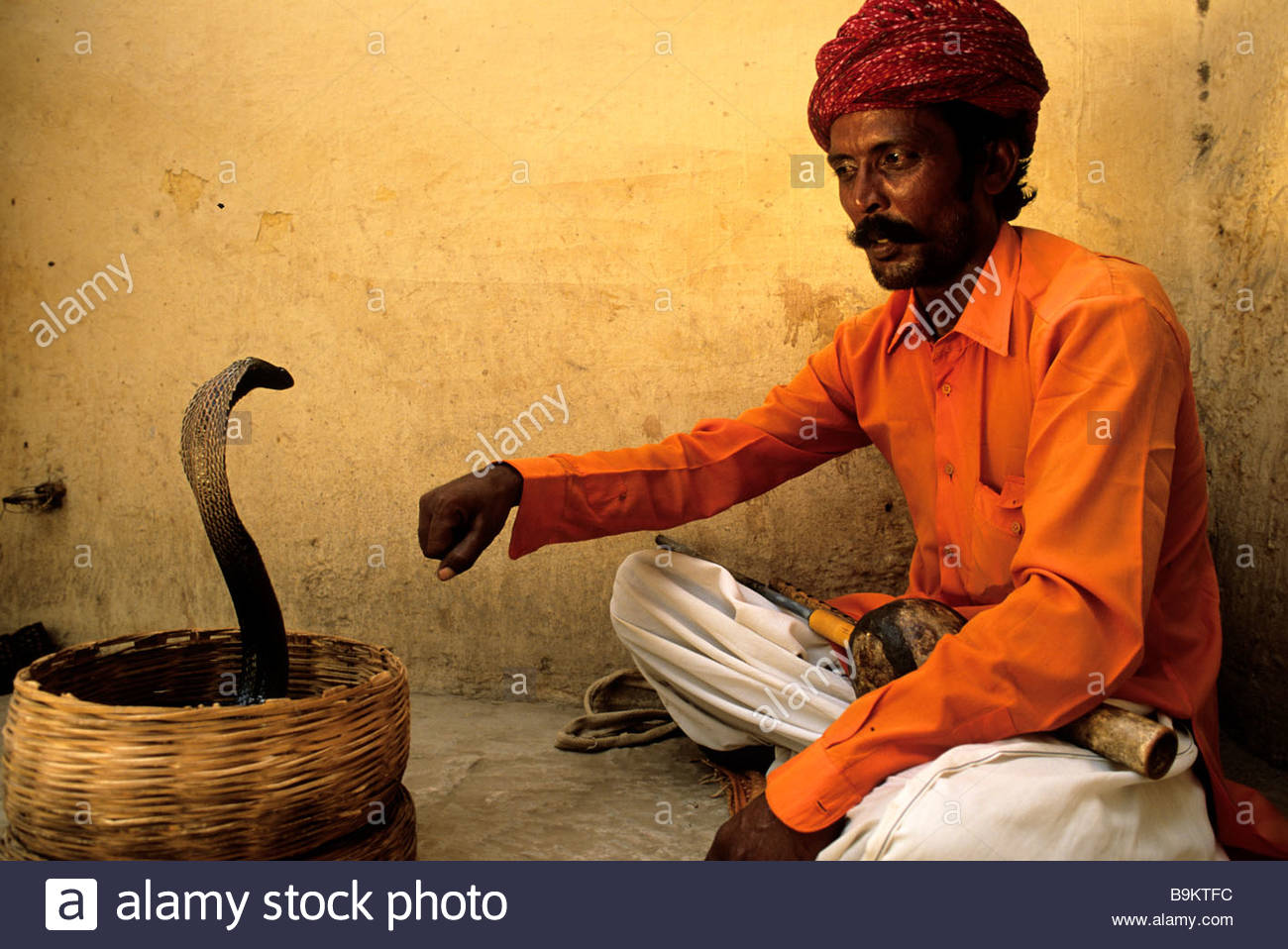 India, Rajasthan State, Jaipur, Harji Nath Sapera Is The Only One Snake Charmer - Sapera, Transparent background PNG HD thumbnail