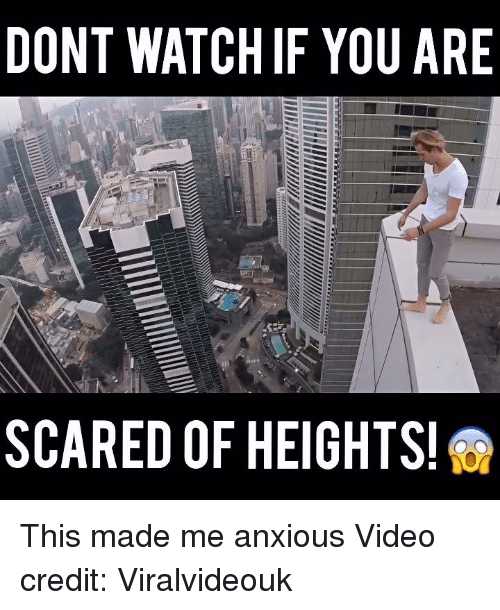 Memes,  - Scared Of Heights, Transparent background PNG HD thumbnail