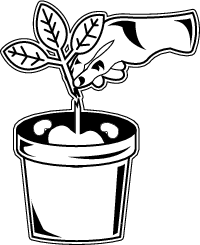 Youu0027Ll Need Five Stem Cuttings For Your Experiment. - Science Fair Black And White, Transparent background PNG HD thumbnail