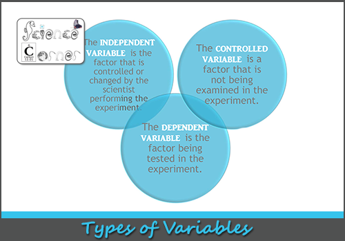 Science Corner: All About Experiment Variables - Science Variable, Transparent background PNG HD thumbnail