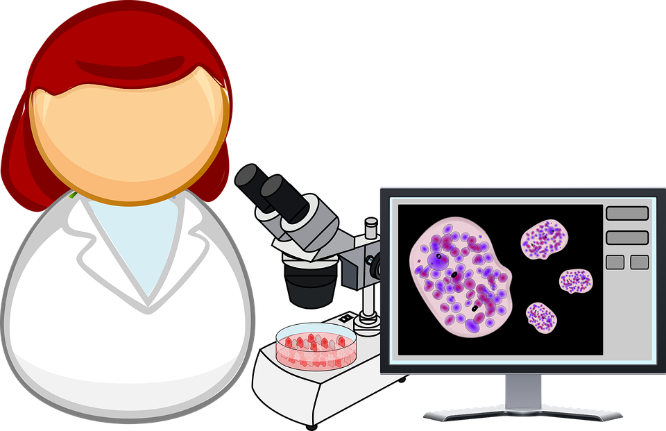 Analysis, Biology, Cell, Cell Culture - Scientist, Transparent background PNG HD thumbnail