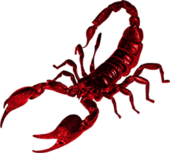 Download PNG image - Scorpion